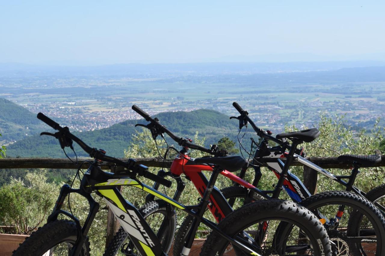 Agriturismo Menghino Nievole エクステリア 写真