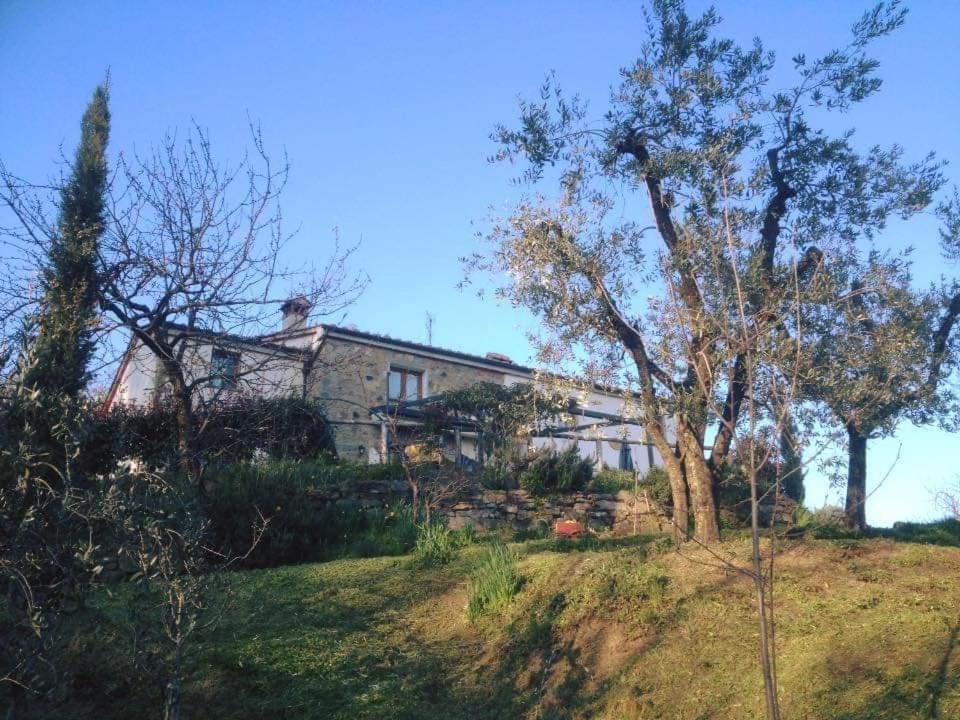 Agriturismo Menghino Nievole エクステリア 写真