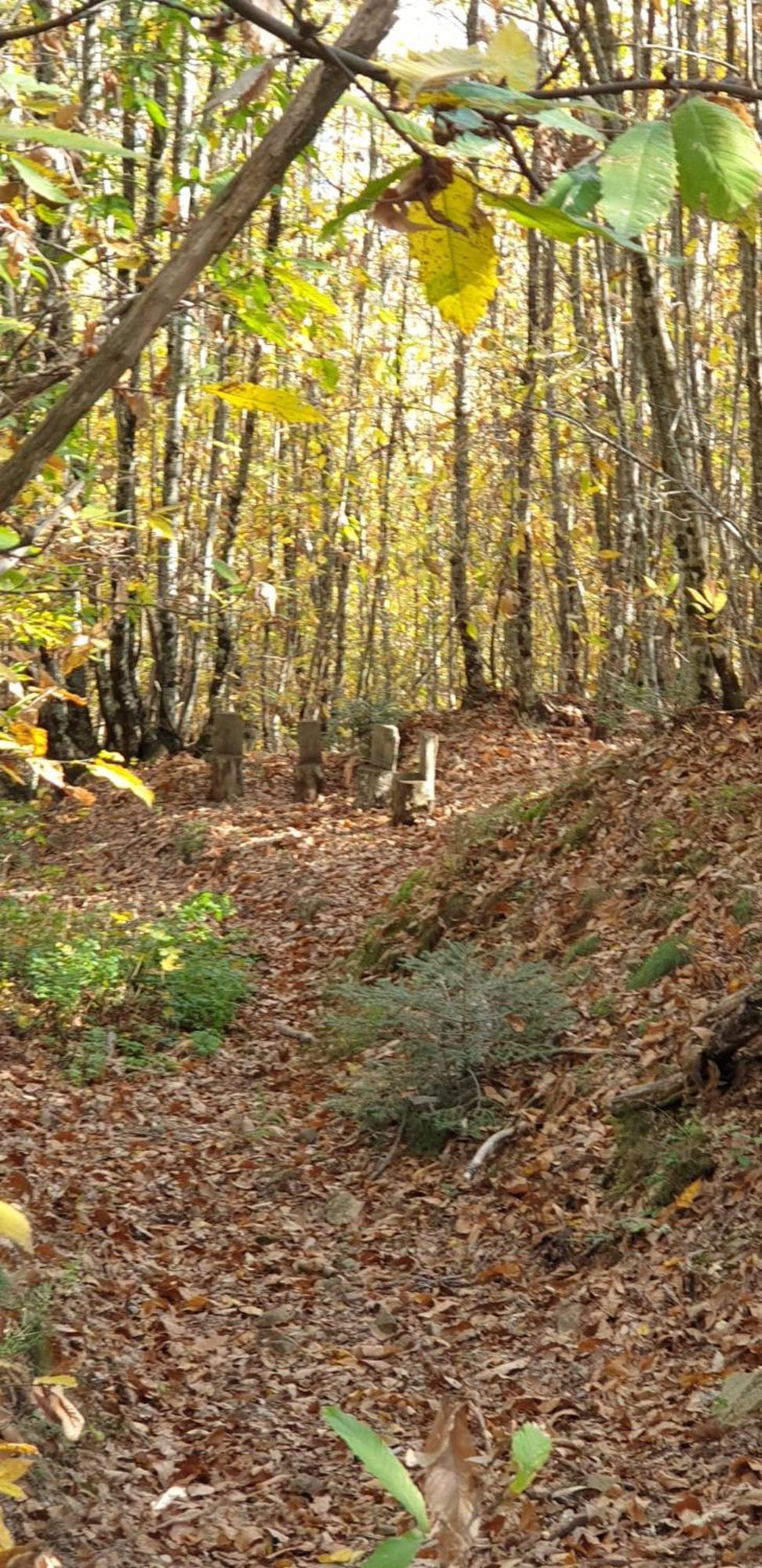 Agriturismo Menghino Nievole エクステリア 写真